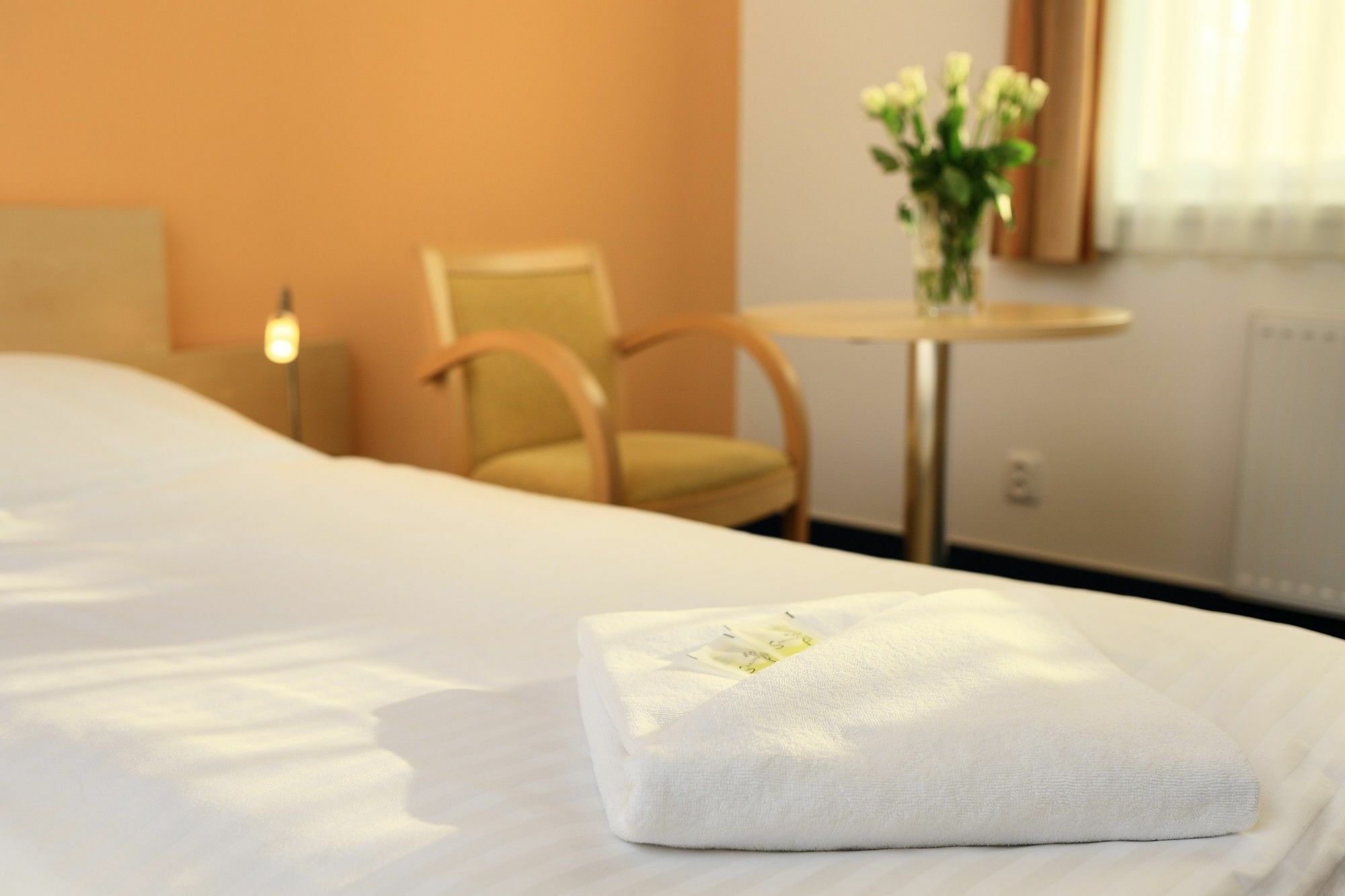 Penzion Krumlov - Massage Studio Český Krumlov Exterior foto